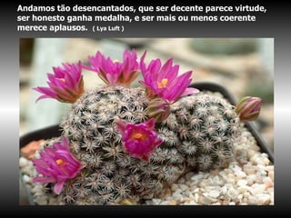 Andamos tão desencantados, que ser decente parece virtude, ser honesto ganha medalha, e ser mais ou menos coerente merece aplausos.  ( Lya Luft )   