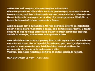 A Natureza está sempre a enviar mensagens sobre a vida.  O homem persiste em não ouvi-la. O cactus, por exemplo, na aspereza de sua forma externa, espinhos e desarmonia, encerra no seu interior a beleza de suas flores. Sutileza da mensagem: se há vida, há a presença do seu CRIADOR, na beleza do imponderável que representa o Eterno.  Assim se passa com a humanidade. Na rude aparência externa de imperfeição do ser, no seu interior há sempre a beleza, pois aí Deus está presente. O grande objetivo da vida no nosso plano físico é fazer o homem sentir essa presença através da evolução, muitas vezes sob a pressão da dor.  A sociedade humana, marcada pelo egoísmo e pelo separatismo, assemelha-se ao cactus-natureza. Mas na imperfeição da forma, guerras e injustiças sociais, surgem os seres marcados pela intuição divina, espargindo flores do pensamento altivo, que tanto embelezam a vida.  Vejamos, para nossa meditação, as flores do cactus-sociedade humana.  UMA MENSAGEM DE VIDA   - Pietro Ubaldi 