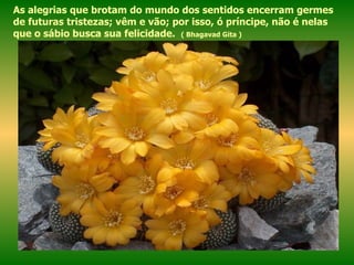 As alegrias que brotam do mundo dos sentidos encerram germes de futuras tristezas; vêm e vão; por isso, ó príncipe, não é nelas que o sábio busca sua felicidade.  ( Bhagavad Gita ) 