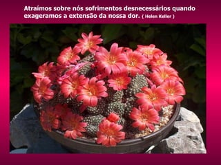 Atraímos sobre nós sofrimentos desnecessários quando exageramos a extensão da nossa dor.  ( Helen Keller ) 