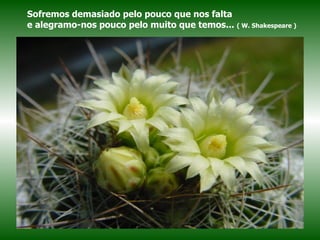 Sofremos demasiado pelo pouco que nos falta  e alegramo-nos pouco pelo muito que temos...  ( W. Shakespeare ) 