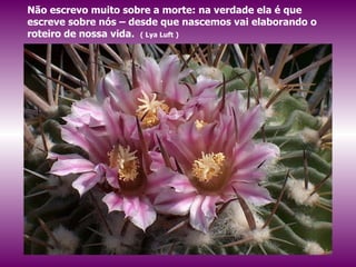 Não escrevo muito sobre a morte: na verdade ela é que escreve sobre nós – desde que nascemos vai elaborando o roteiro de nossa vida.  ( Lya Luft ) 