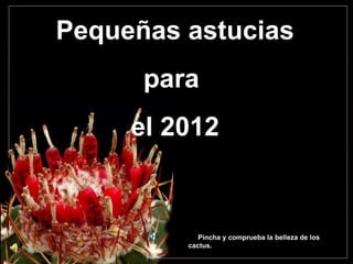 Pequeñas astucias
      para
     el 2012


            Pincha y comprueba la belleza de los
         cactus.
 