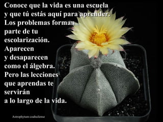 Conoce qquuee llaa vviiddaa eess uunnaa eessccuueellaa 
yy qquuee ttúú eessttááss aaqquuíí ppaarraa aapprreennddeerr.. 
LLooss pprroobblleemmaass ffoorrmmaann 
ppaarrttee ddee ttuu 
eessccoollaarriizzaacciióónn.. 
AAppaarreecceenn 
yy ddeessaappaarreecceenn 
ccoommoo eell áállggeebbrraa.. 
PPeerroo llaass lleecccciioonneess 
qquuee aapprreennddaass ttee 
sseerrvviirráánn 
aa lloo llaarrggoo ddee llaa vviiddaa.. 
Astrophytum coahuilense 
 