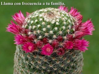 Llama ccoonn ffrreeccuueenncciiaa aa ttuu ffaammiilliiaa.. 
 