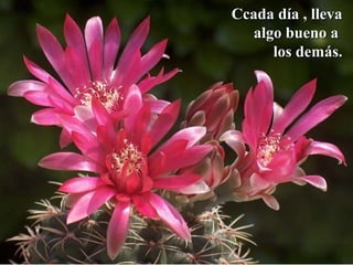 CCccaaddaa ddííaa ,, lllleevvaa 
aallggoo bbuueennoo aa 
llooss ddeemmááss.. 
 