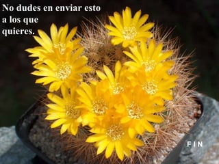 NNoo dduuddeess eenn eennvviiaarr eessttoo 
aa llooss qquuee 
qquuiieerreess.. 
F I N 
