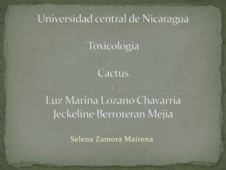 Selena Zamora Mairena 
 