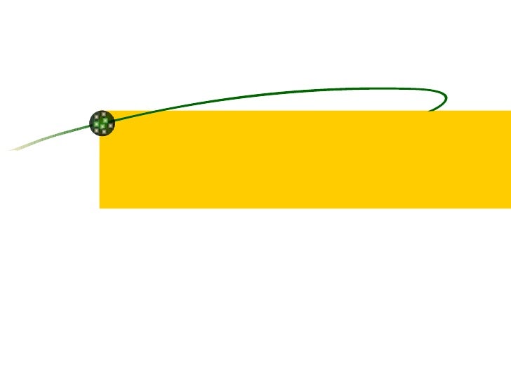 cactus template