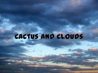 Cactus and clouds 