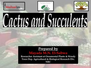 Prepared by
Mayada M.N. El-Sabwa
Researcher Assistant at Ornamental Plants & Woody
Trees Dep. Agricultural & Biological Research Div.
NRC
 