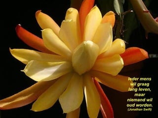 Ieder mens wil graag lang leven, maar niemand wil oud worden.  (Jonathan Swift) 