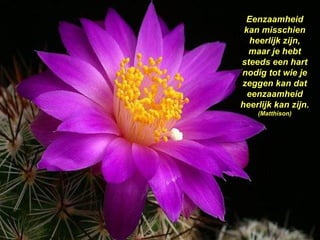 Eenzaamheid kan misschien heerlijk zijn, maar je hebt steeds een hart nodig tot wie je zeggen kan dat eenzaamheid heerlijk kan zijn.  (Matthison) 