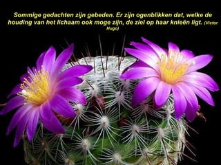 Sommige gedachten zijn gebeden. Er zijn ogenblikken dat, welke de houding van het lichaam ook moge zijn, de ziel op haar knieën ligt.  (Victor Hugo) 