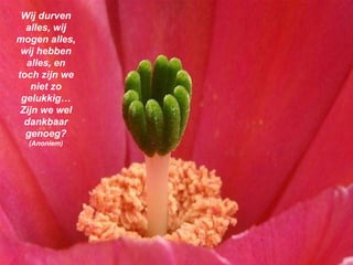 Wij durven alles, wij mogen alles, wij hebben alles, en toch zijn we niet zo gelukkig… Zijn we wel dankbaar genoeg?  (Anoniem) 