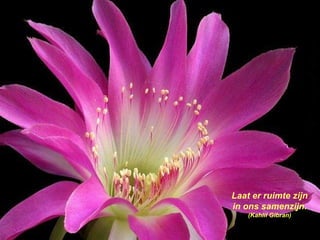 Laat er ruimte zijn in ons samenzijn.  (Kahlil Gibran) 