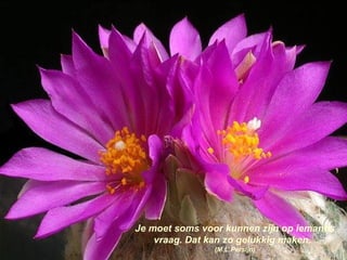 Je moet soms voor kunnen zijn op iemands vraag. Dat kan zo gelukkig maken.  (M.L.Persijn) 