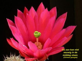 De zon kan niet eeuwig in de middag staan.  (Chinees gezegde) 