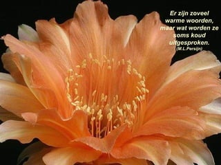 Er zijn zoveel warme woorden, maar wat worden ze soms koud uitgesproken.  (M.L.Persijn) 