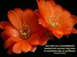 Een deel van vriendelijkheid bestaat erin mensen nog meer te waarderen dan ze verdienen.  (Joseph Foubert) 