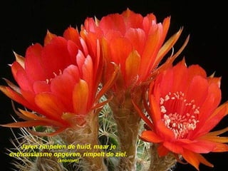 Jaren rimpelen de huid, maar je enthousiasme opgeven, rimpelt de ziel.  (anoniem) 