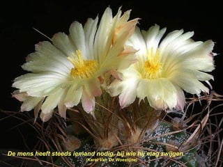 De mens heeft steeds iemand nodig, bij wie hij mag zwijgen.  (Karel Van De Woestijne) 