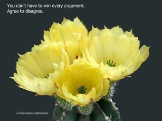 Echinocereus subinermis You don't have to win every argument.  Agree to disagree.  