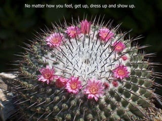 No matter how you feel, get up, dress up and show up.  