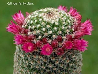 Call your family often.  