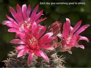 Each day give something good to others.  