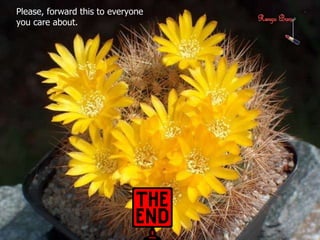 Please, forward this to everyone  you care about. 