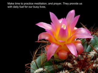 Make time to practice meditation, and prayer. They provide us
with daily fuel for our busy lives.
 