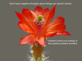 Don't have negative thoughts about things you cannot control.
Instead invest your energy in
the positive present moment.
 