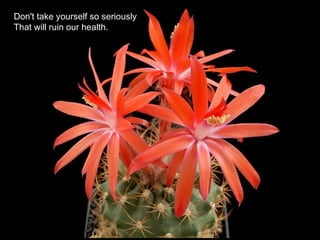 Don't take yourself so seriously
That will ruin our health.
 