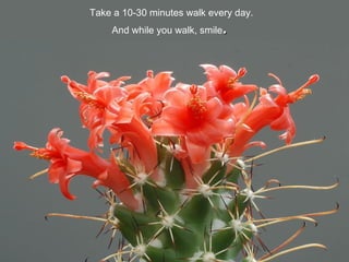 Take a 10-30 minutes walk every day.
And while you walk, smile..
 