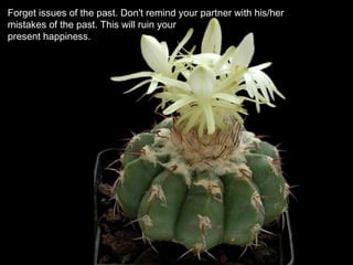 Forget issues of the past. Don't remind your partner with his/her
mistakes of the past. This will ruin your
present happiness.
 