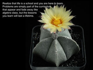 Realize that life is a school and you are here to learn.
Problems are simply part of the curriculum
that appear and fade away like
algebra class, but the lessons
you learn will last a lifetime.
 