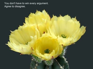 You don't have to win every argument.
Agree to disagree.
 
