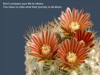 Don't compare your life to others.
You have no idea what their journey is all about.
 