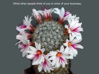 What other people think of you is none of your business.
 