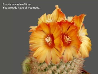 Envy is a waste of time.
You already have all you need.
 