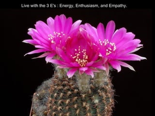 Live with the 3 E's : Energy, Enthusiasm, and Empathy.
 