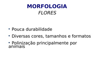 MORFOLOGIA
FLORES

Pouca durabilidade

Diversas cores, tamanhos e formatos

Polinização principalmente por
animais
 