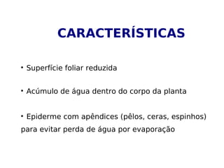 CARACTERÍSTICAS

Superfície foliar reduzida

Acúmulo de água dentro do corpo da planta

Epiderme com apêndices (pêlos, ceras, espinhos)
para evitar perda de água por evaporação
 