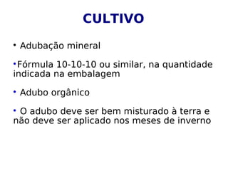 CULTIVO

Adubação mineral

Fórmula 10-10-10 ou similar, na quantidade
indicada na embalagem

Adubo orgânico

O adubo deve ser bem misturado à terra e
não deve ser aplicado nos meses de inverno
 