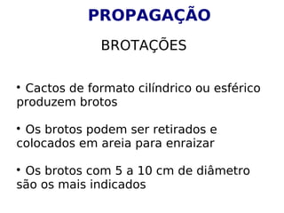 
Cactos de formato cilíndrico ou esférico
produzem brotos

Os brotos podem ser retirados e
colocados em areia para enraizar

Os brotos com 5 a 10 cm de diâmetro
são os mais indicados
PROPAGAÇÃO
BROTAÇÕES
 