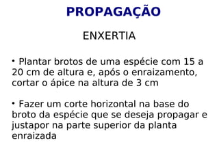 
Plantar brotos de uma espécie com 15 a
20 cm de altura e, após o enraizamento,
cortar o ápice na altura de 3 cm

Fazer um corte horizontal na base do
broto da espécie que se deseja propagar e
justapor na parte superior da planta
enraizada
PROPAGAÇÃO
ENXERTIA
 