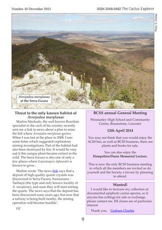 9
Number 10 December 2013 ISSN 2048-0482 The Cactus Explorer
Threat to the only known habitat of
Arrojadoa marylanae
Marlon Machado, the well known Brazilian
specialist in the cacti of his country recently
sent me a link to news about a plan to mine
the hill where Arrojadoa marylanae grows.
When I was last at the place in 2008, I saw
some holes which suggested exploratory
mining investigations. Part of the habitat had
also been destroyed by ﬁre. It would be very
sad if this unique plant became extinct in the
wild. The Serra Escura is also one of only a
few places where Espostoopsis dybowskii is
known to grow.
Marlon wrote ‘The news link says that a
deposit of high quality quartz crystals was
discovered in Serra Escura, Sussuarana -
Tanhaçú (the type and only known locality of
A. marylanae), and soon they will start mining
the quartz. The news says that the deposit has
been discovered some years ago, but now that
a railway is being built nearby, the mining
operation will become feasible’.
GC
Arrojadoa marylanae
at the Serra Escura
Photo:G.Charles
BCSS annual General Meeting
Winstanley High School and Community
Centre, Braunstone, Leicester
12th April 2014
You may not think that you would enjoy the
AGM but, as well as BCSS business, there are
plants and books for sale.
You can also enjoy the
Hampshire/Dunn Memorial Lecture.
This is now the only BCSS business meeting
to which all the members are invited so do
yourself and the Society a favour by planning
to attend.
Wanted!
I would like to increase my collection of
documented epiphytic cactus species, so if
anyone has cuttings for sale or exchange,
please contact me. ISI clones are of particular
interest.
Thank you, Graham Charles
 