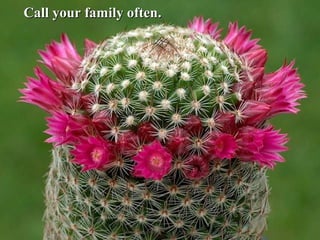 Call your family often.Call your family often.
 