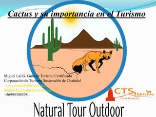 Cactus y su importancia en el Turismo
Miguel Lai G. Guía de Turismo Certificado
Corporación de Turismo Sustentable de Chañaral
www.naturaltouroutdoor.cl
miguel.lai@naturaltouroutdoor.cl
+56995398598
 